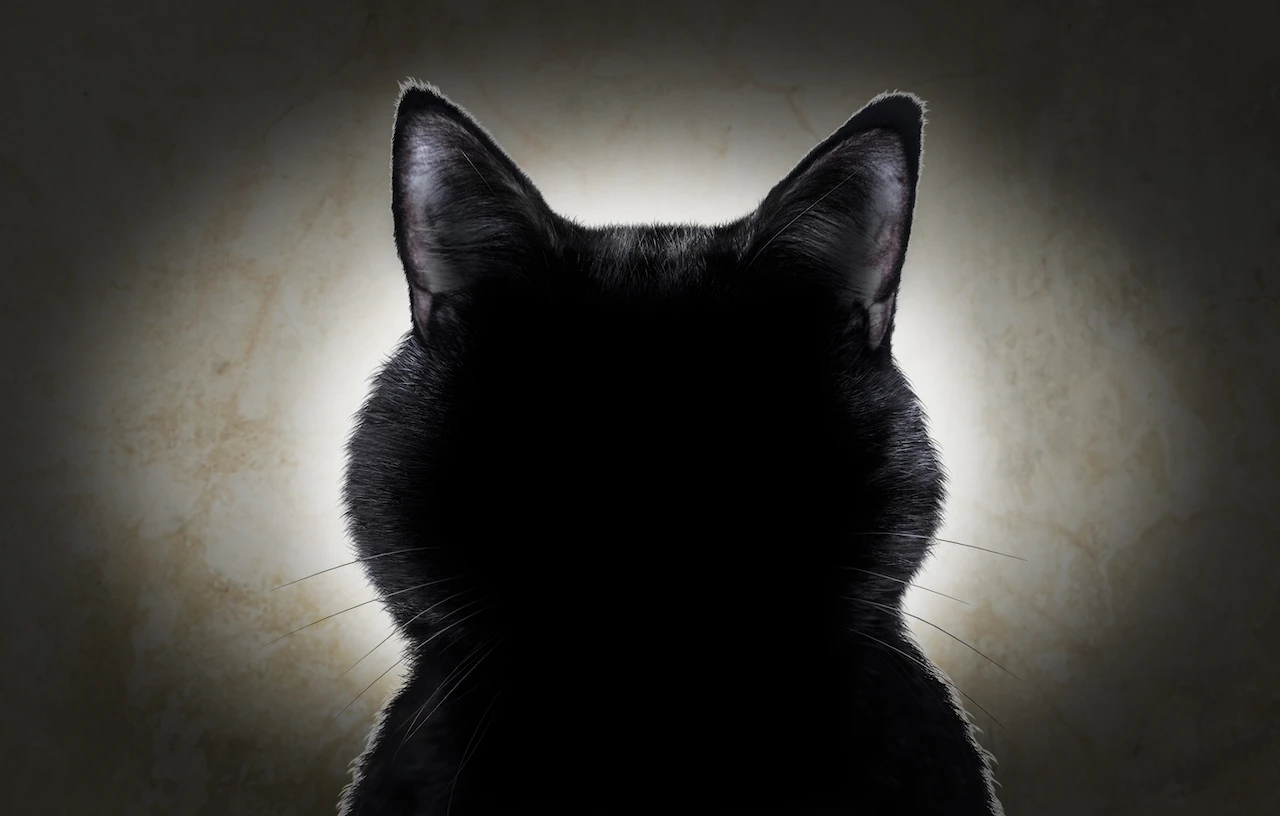ALPHV/BlackCat 向美国证券交易委员会（SEC）报告可能成为勒索软件运营商的“新常态